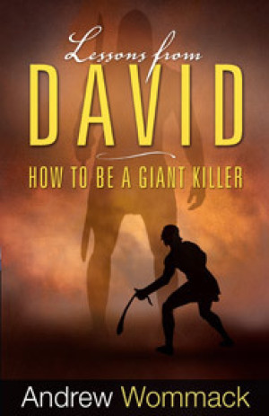 Lessons from David