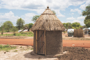 Build a Latrine