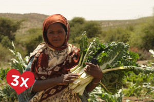 Fight Back Against Drought